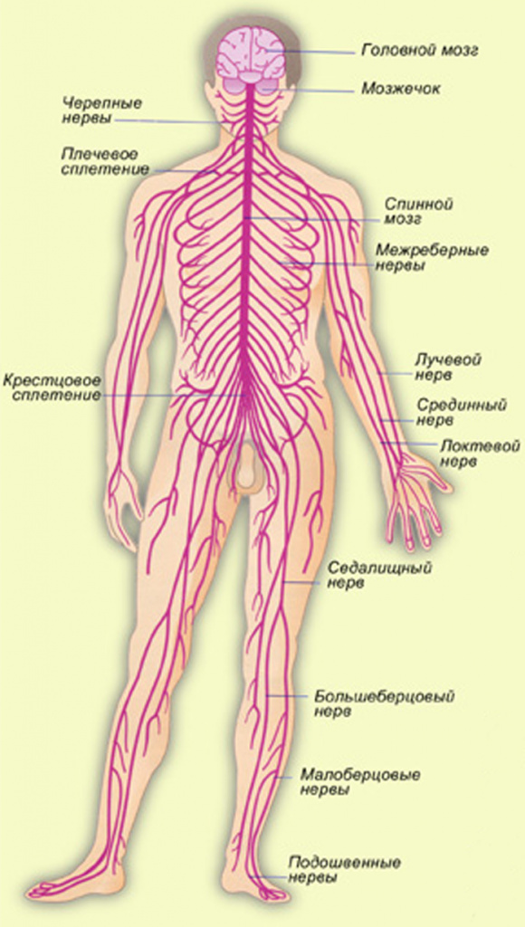 592c8e0f68ba9ca5d10e20bd83a44ac6.jpg